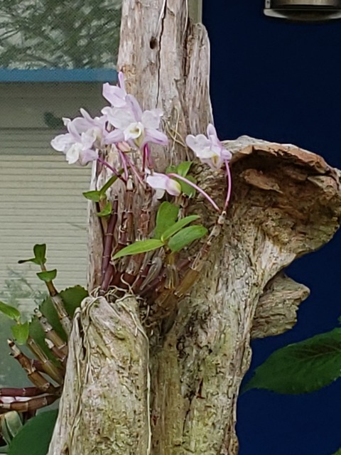 20190522_143508