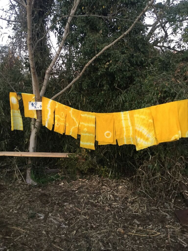 ターメリックで染め物 しお風ブログ 湘南 風と星物語 In二宮