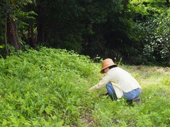 P5122479