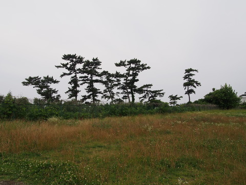 P6281758