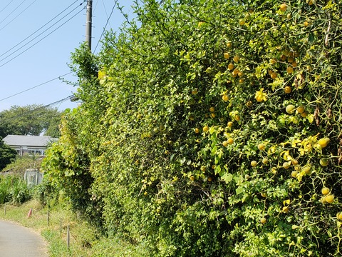 20191002_103525