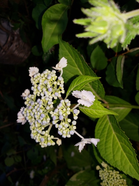 20190525_182147