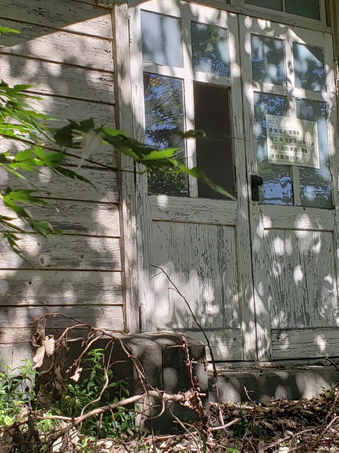 20191023_101544 (002)