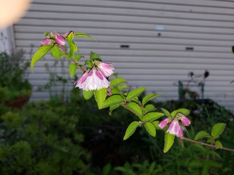 20190525_182027