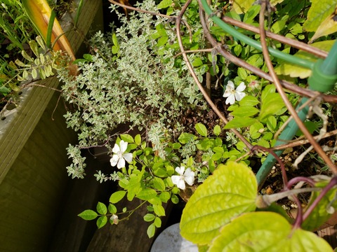 20190522_143142