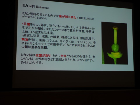 P1282450