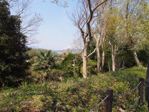 花の丘公園20150416 (20)