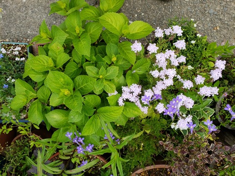 20190522_143331