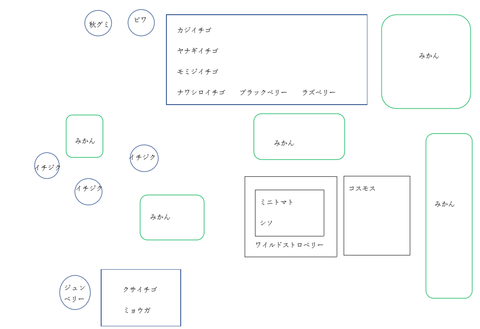 みかん畑配置