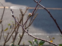 P3282463