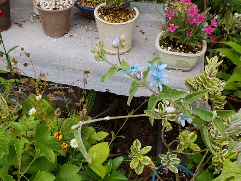 20190522_143406