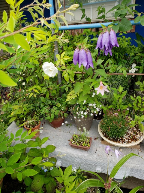 20190522_143320