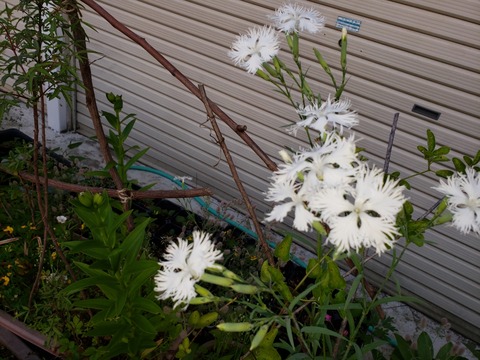 20190525_181949