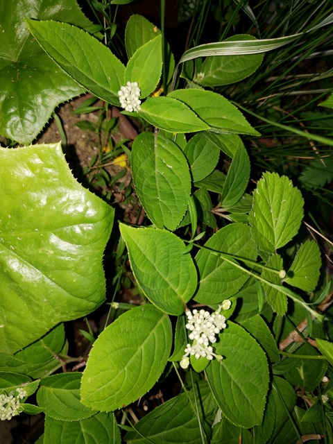 20190525_182235