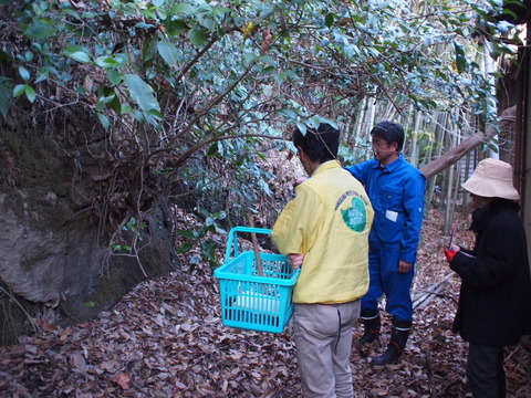 20181227露頭見学 (2)