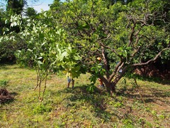P5122497