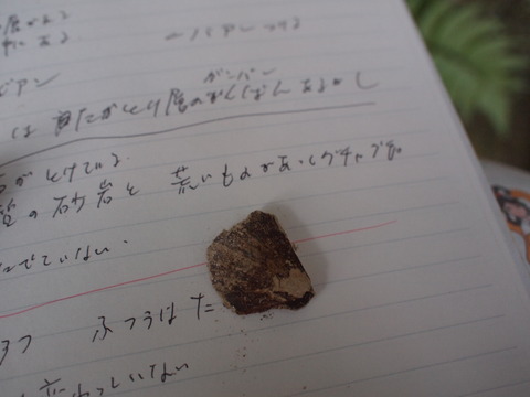 20181227露頭見学 (4)