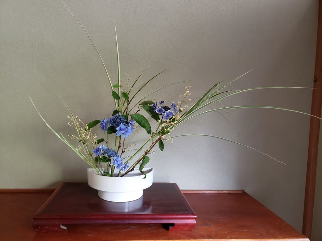 玄関と床の間に生け花を飾ってみました しお風ブログ 湘南 風と星物語 In二宮