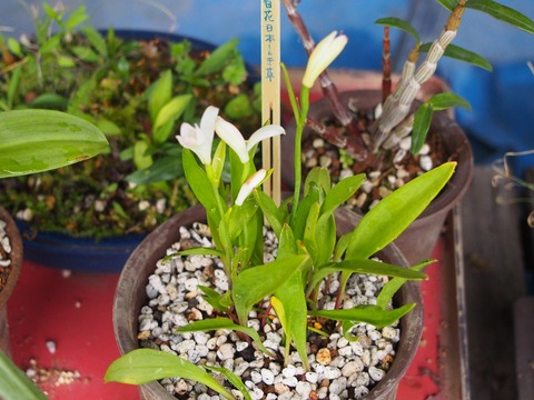 P5011673