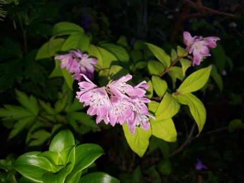 20190525_182045