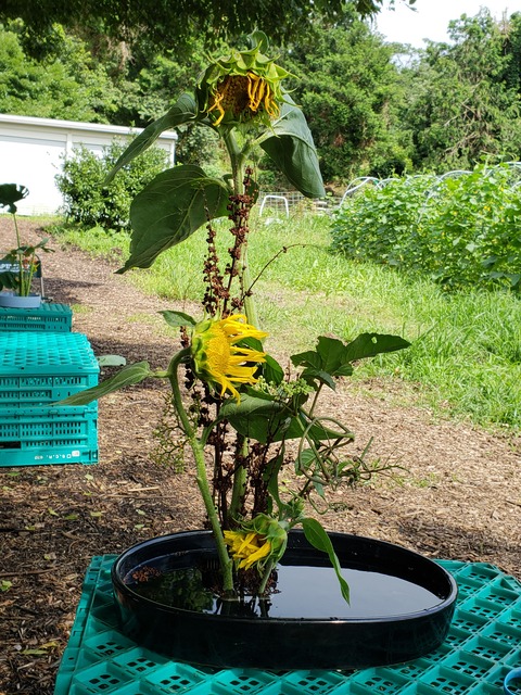 20200719_144334 (002)