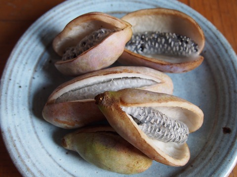 P9252395