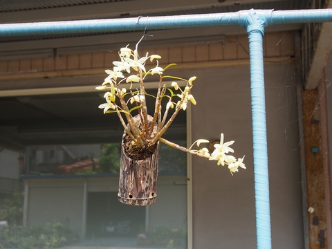 P5011669