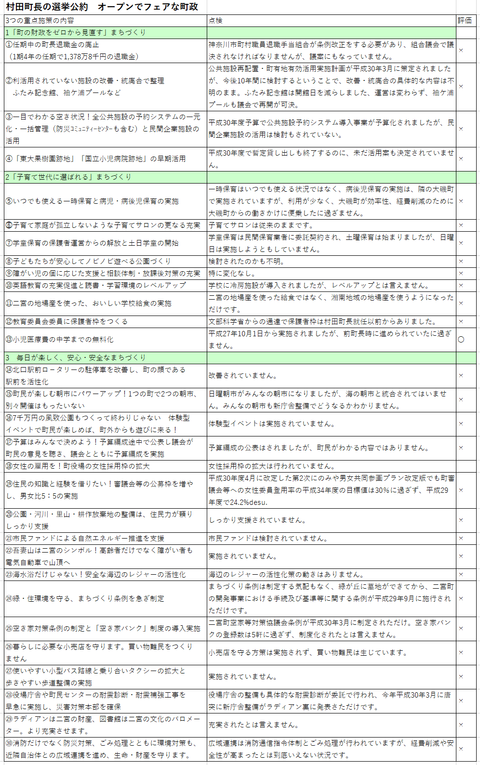 公約点検