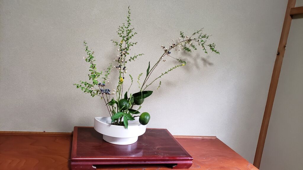 青摘みかんなどみかん畑の刈り取り花材で生け花 しお風ブログ 湘南 風と星物語 In二宮