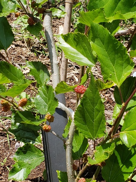 20190522_121542