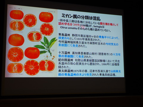 P1282455