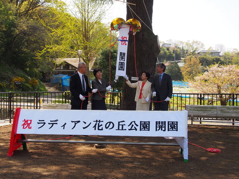 花の丘公園20150416 (28)