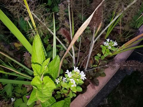 20190525_181927