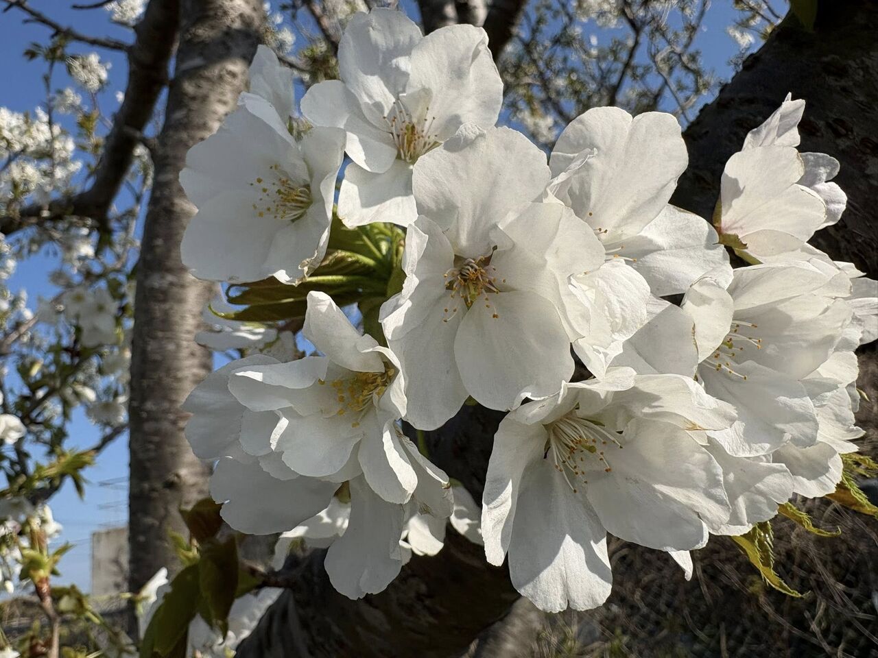 654307795_26249667897975992_5287023963380391645_n