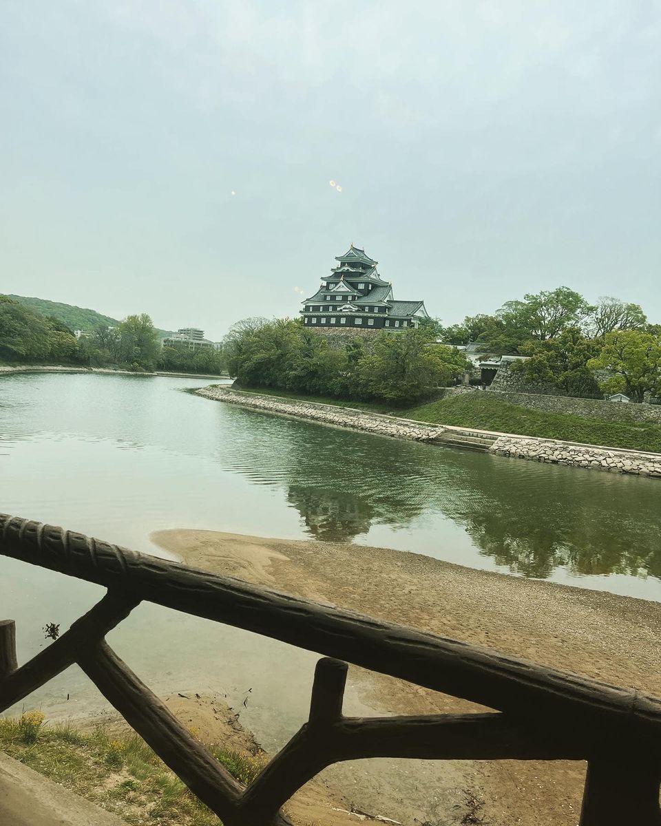 340854979_240366331827593_2702724386001963944_n