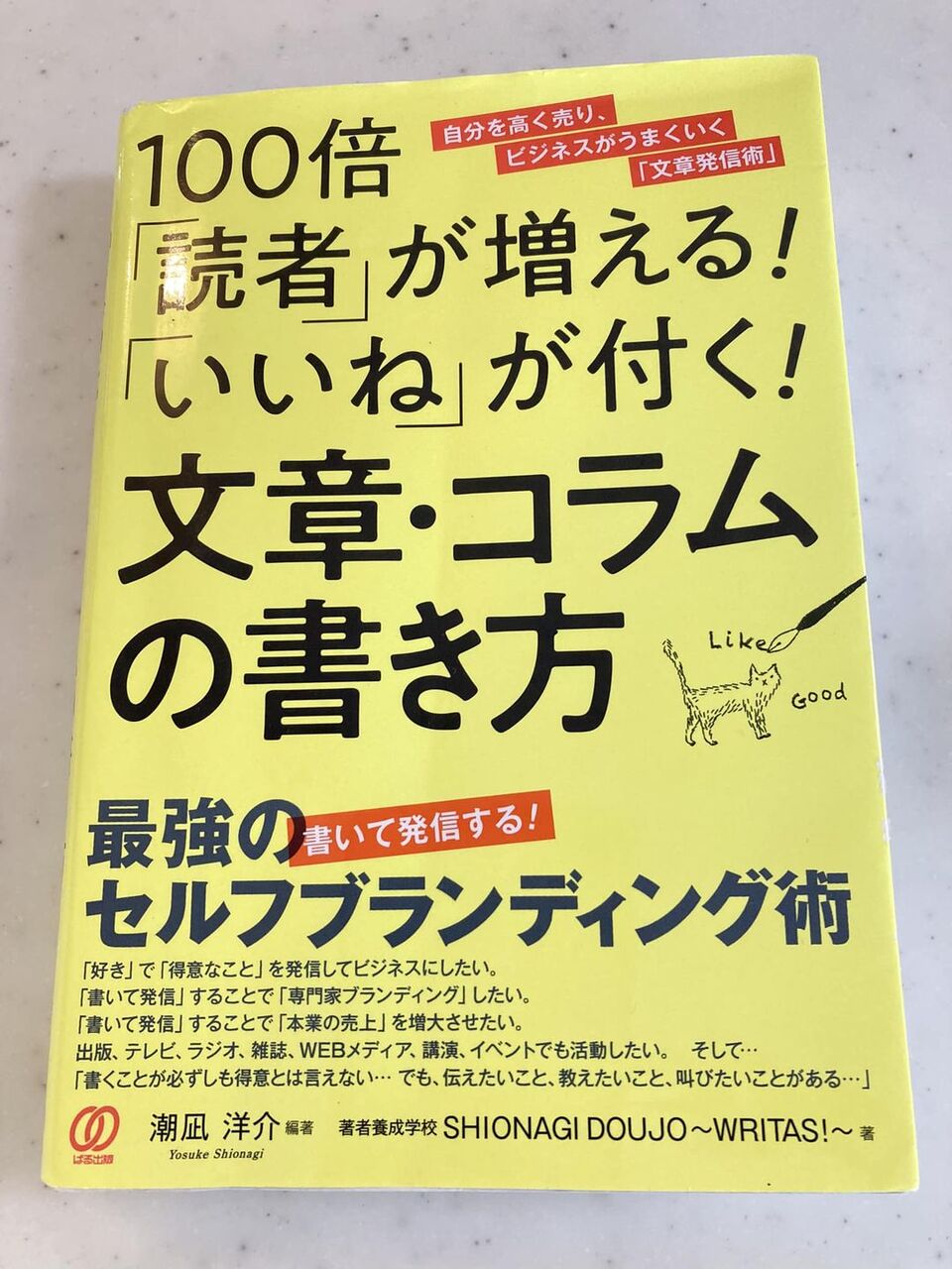 341851785_541656154717067_5833665419817757482_n