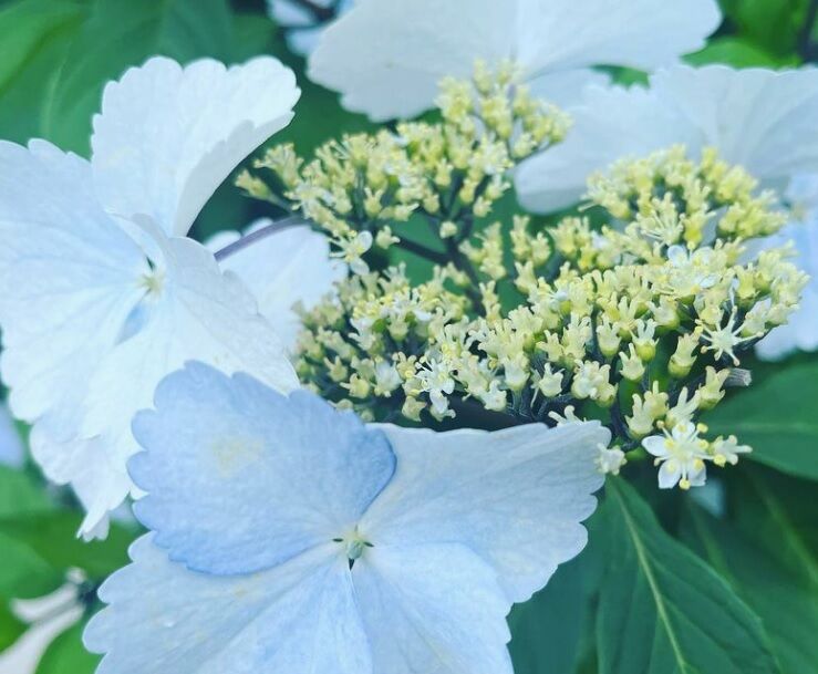 �����ȥ�ʤ�