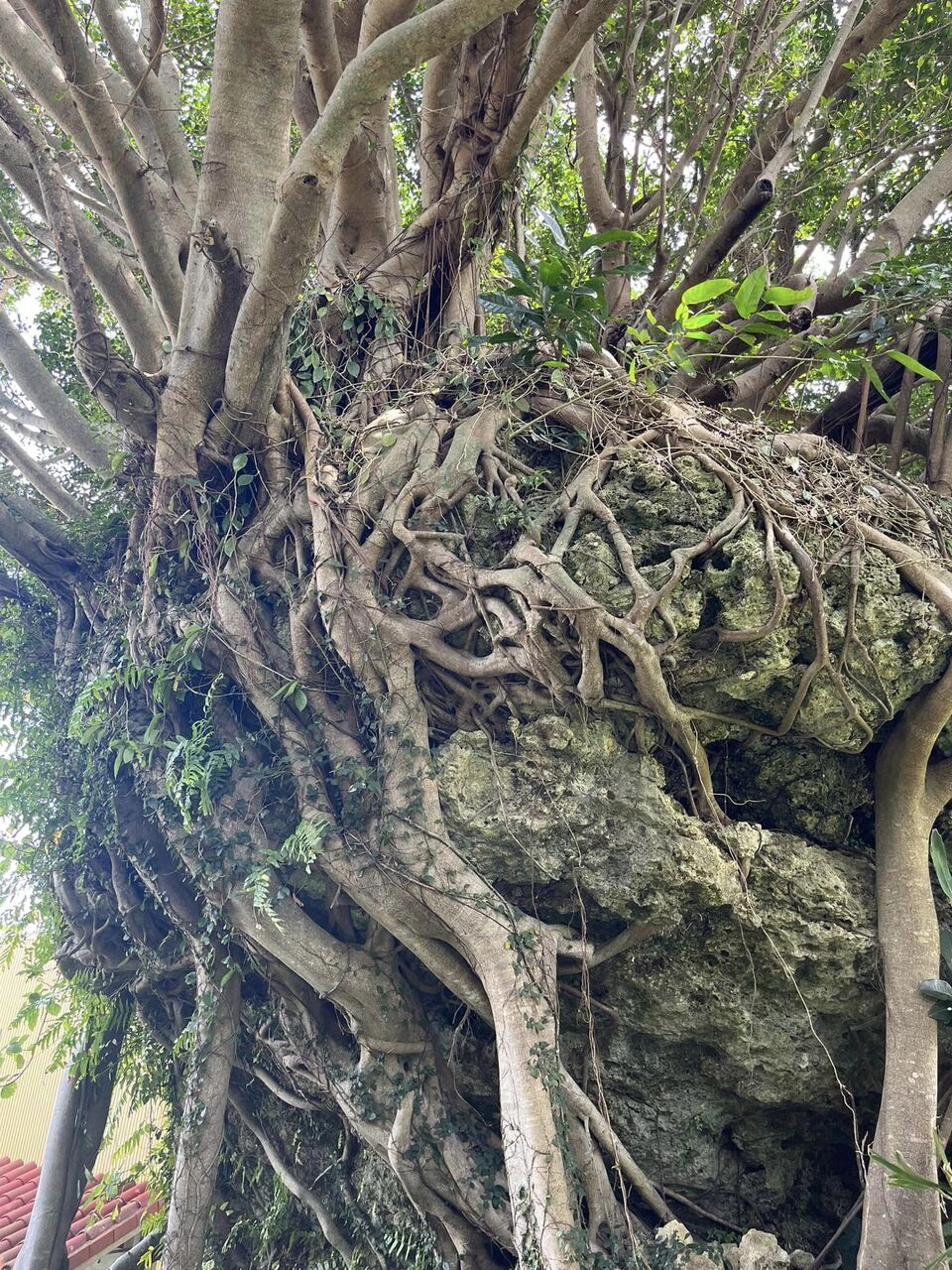 340919181_1221712902047741_4845471941741386670_n