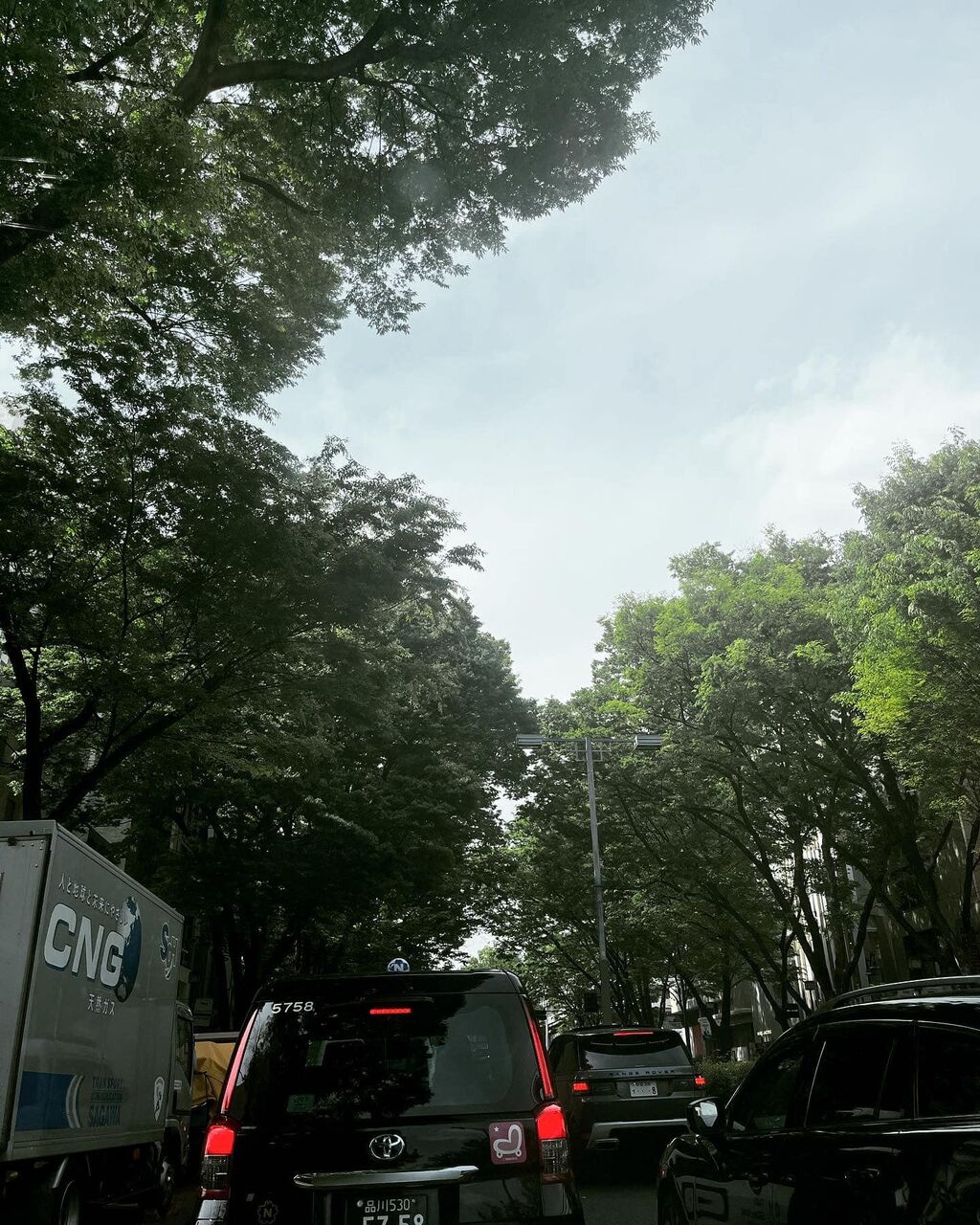 340931049_230520139528334_9118251901731778268_n