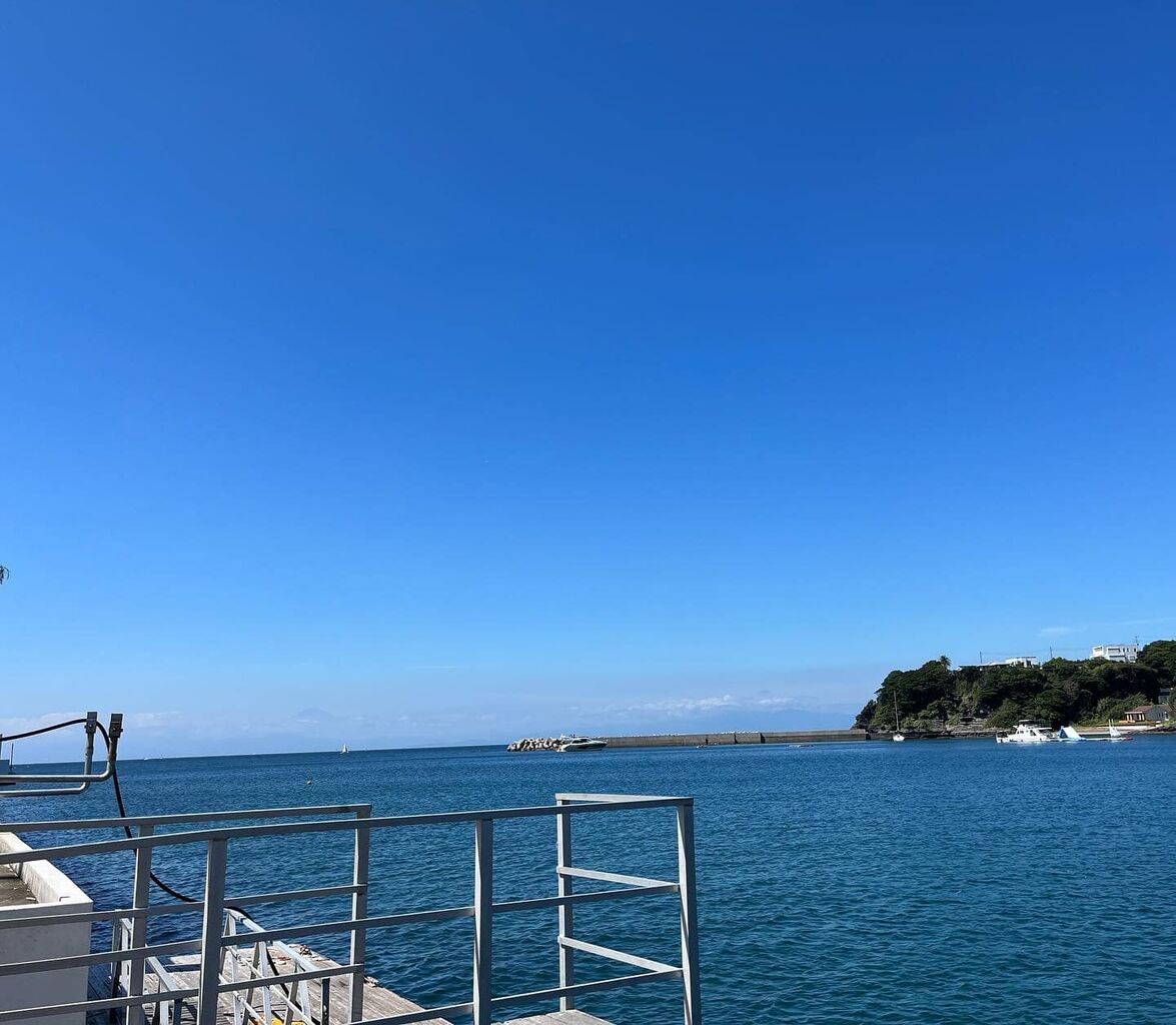 309135844_490405339767337_2512945203272634285_n