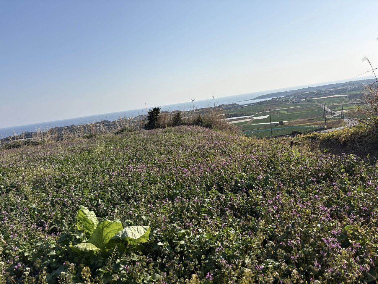 654839331_26249668387975943_6869915523734708850_n