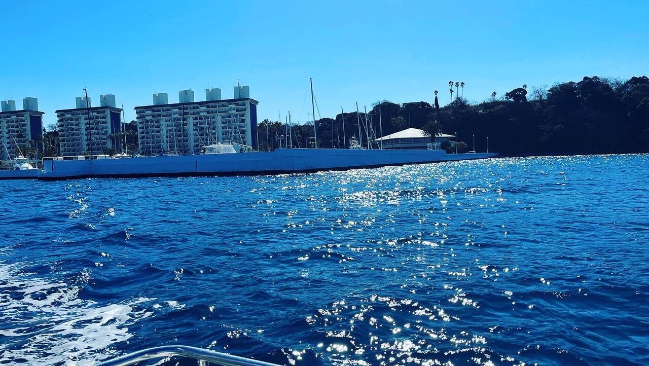 338823104_925555508679994_7729819606975661211_n