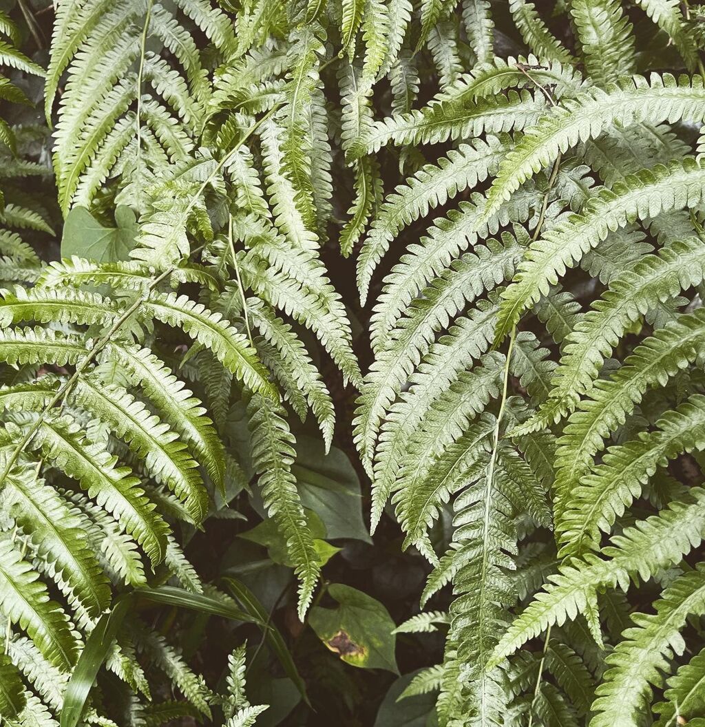 348458864_3573384756320666_8100121647639739349_n