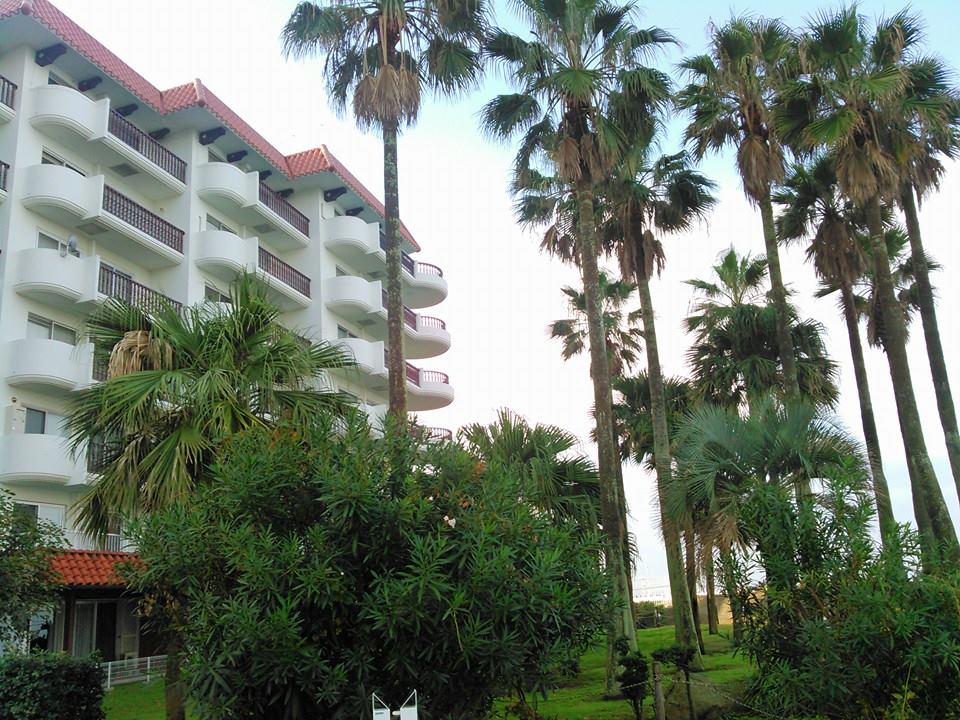 10689660_764769796892486_2787516632396491883_n[1]