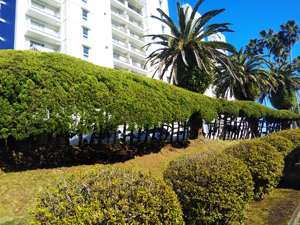 264756187_4588312934538134_7053406048069727695_n