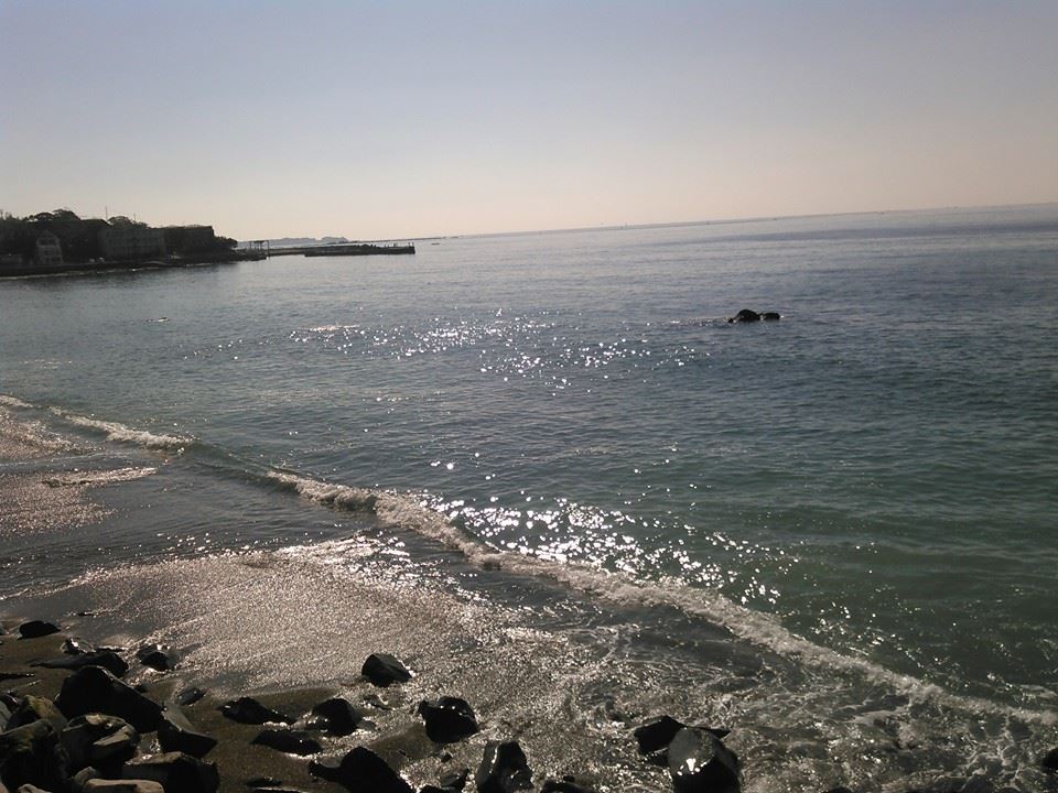 10409177_816867511682714_9195835170190281332_n