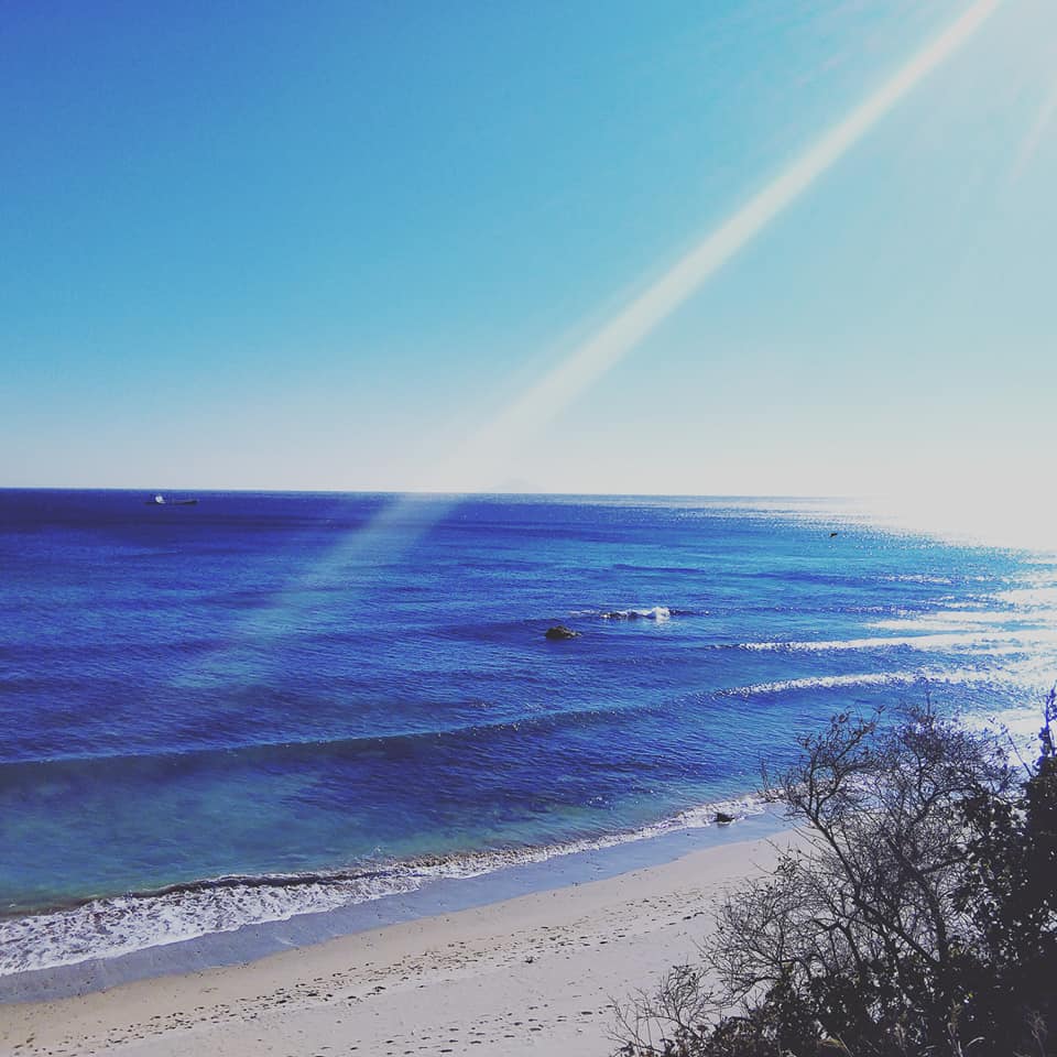 271206619_4698111743558252_6063779219535529566_n