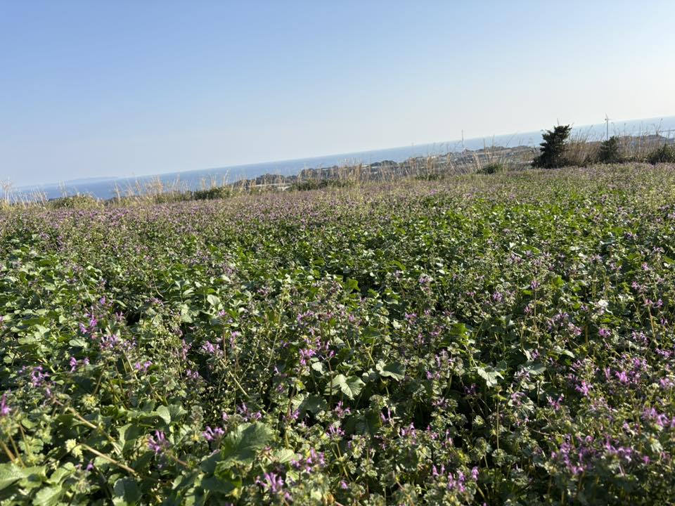 656041018_26249665967976185_1452528560719667064_n