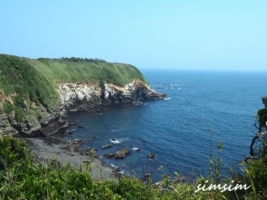 o0380028513006561141