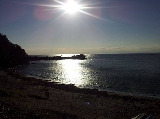 1063090_656500937719373_1302671567_n